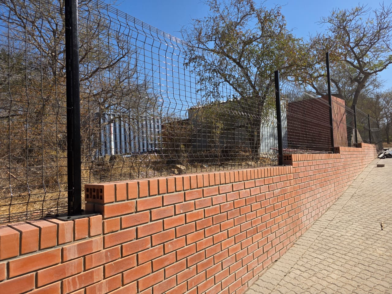 WhatsApp Image 2025-09-10 at 08.45.22_2911d2a3